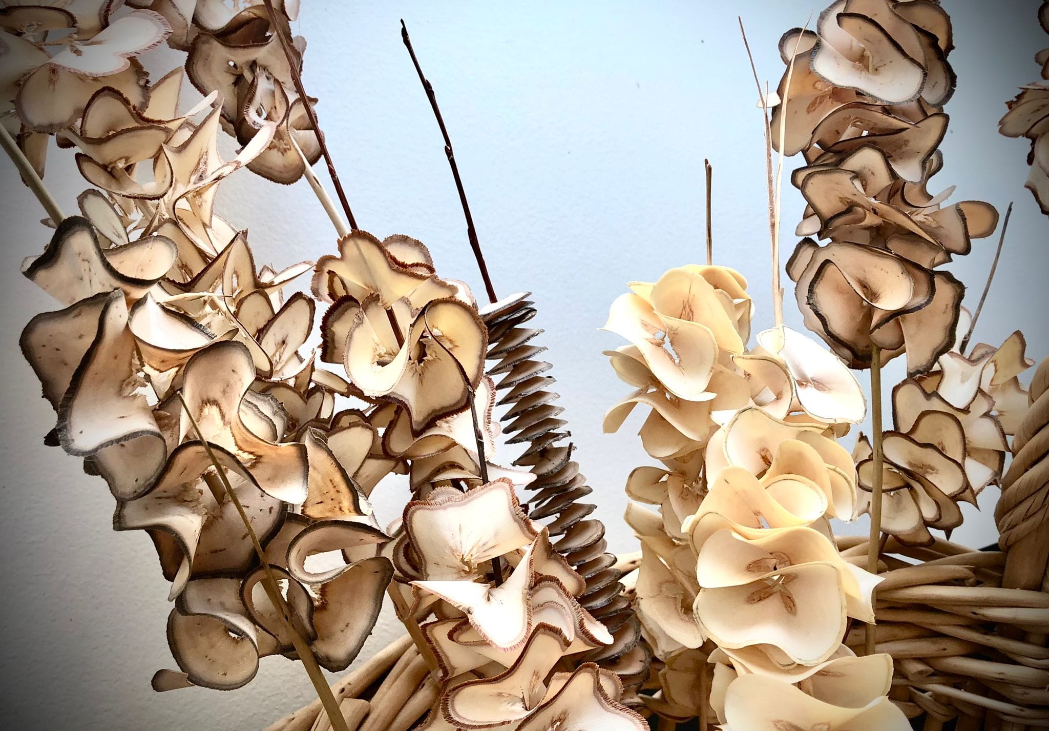 Vannerie-dAlsace-fleurs