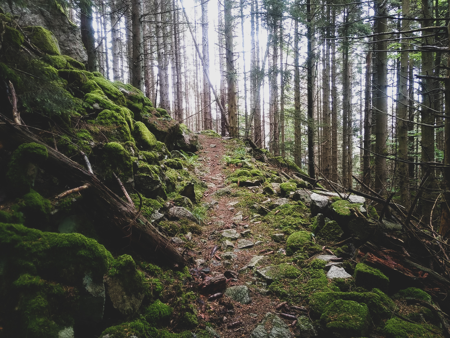 97992439_3073020539428716_7479435763570966528_n