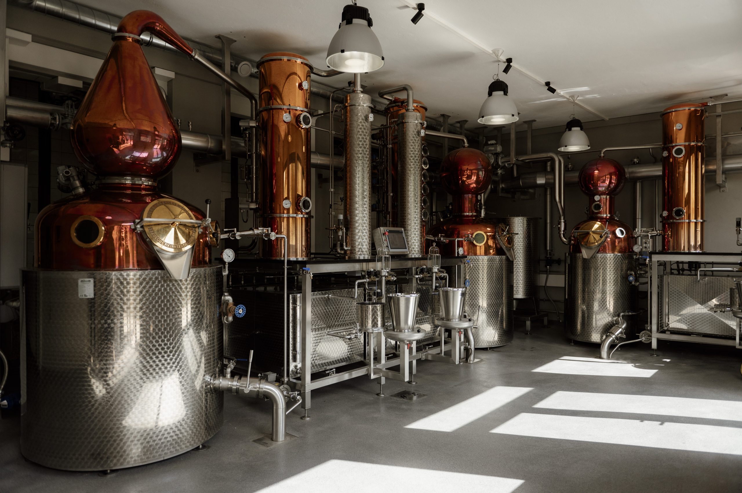 48N_NUSBAUMER-PRINTEMPS-83