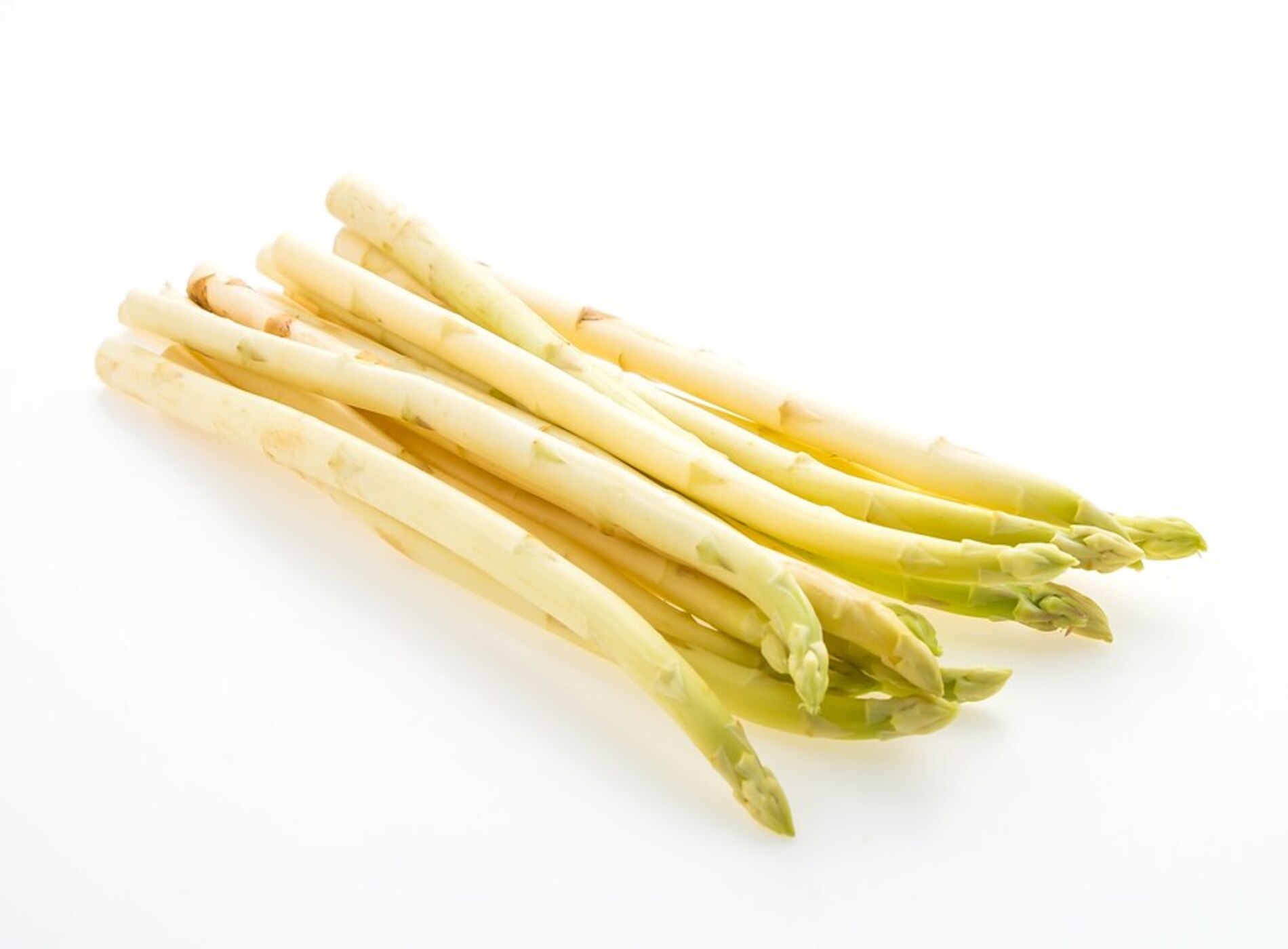 asperges-blanches_1203-6894-1blog